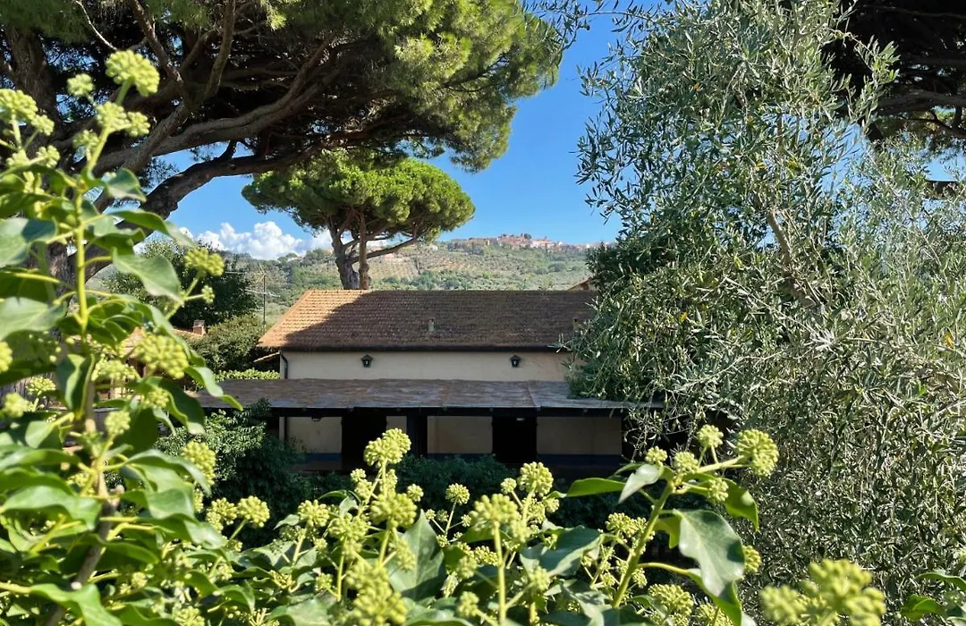 Agriturismo Il Vignone-1